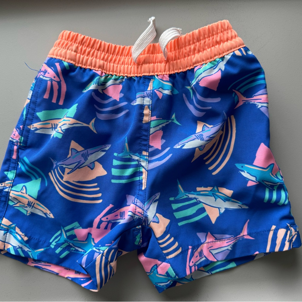 Chubbies Bathing Suit